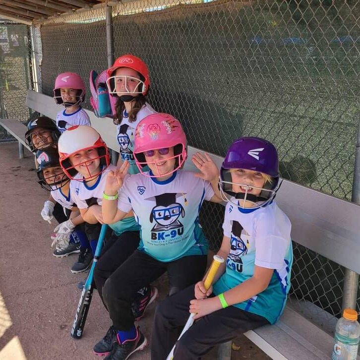 in the Dugout